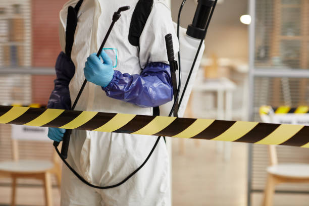 Professional Blood Cleanup technician working in Franklin, TX